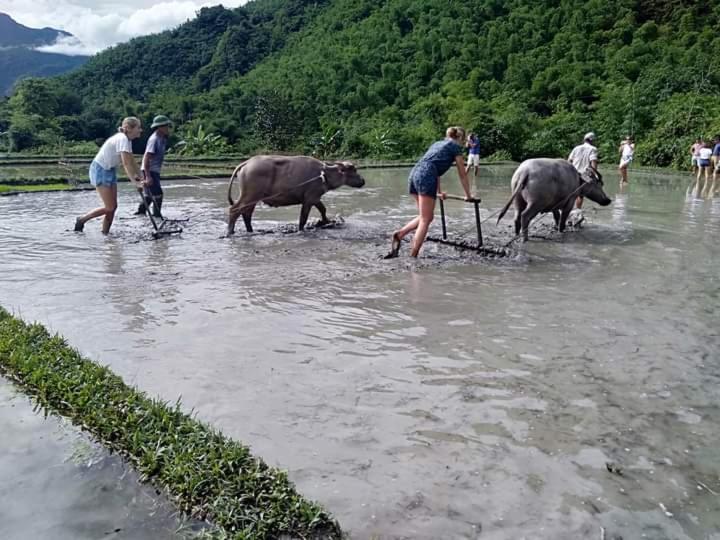 Mai Chau Xanh Bungalow 外观 照片