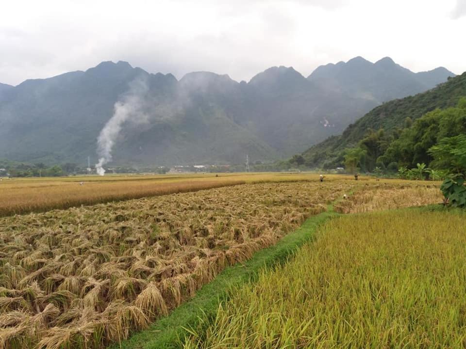 Mai Chau Xanh Bungalow 外观 照片